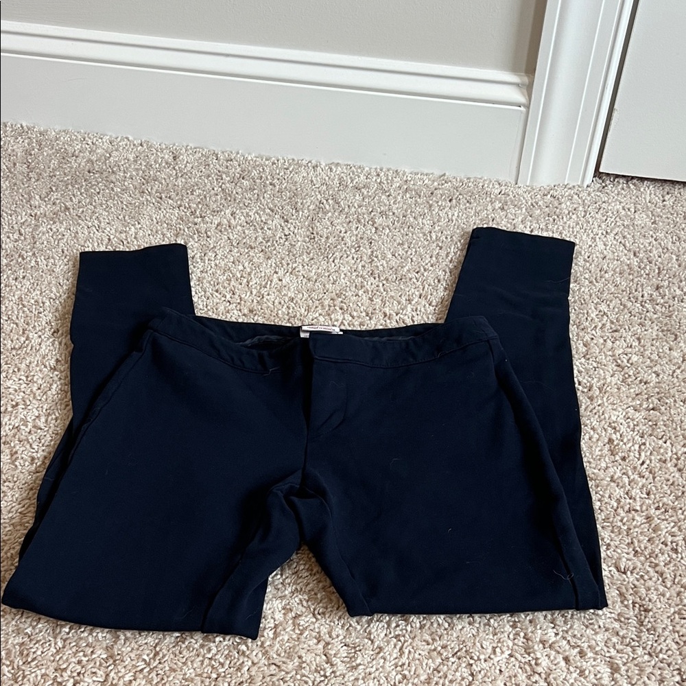 Merona Women’s Navy Skinny Stretch Pant